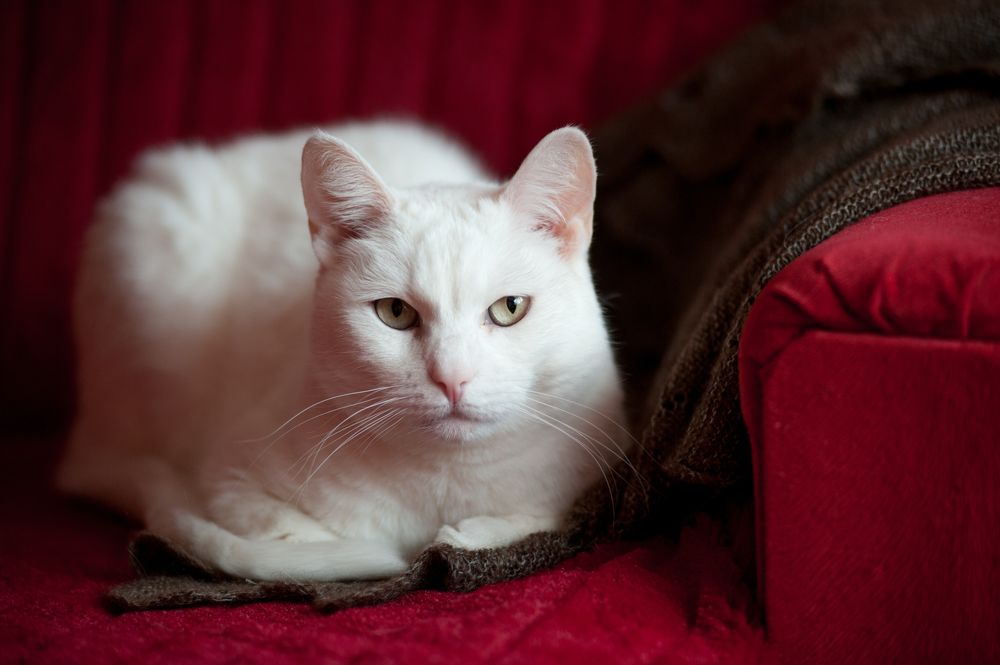 Photograph by Татьяна