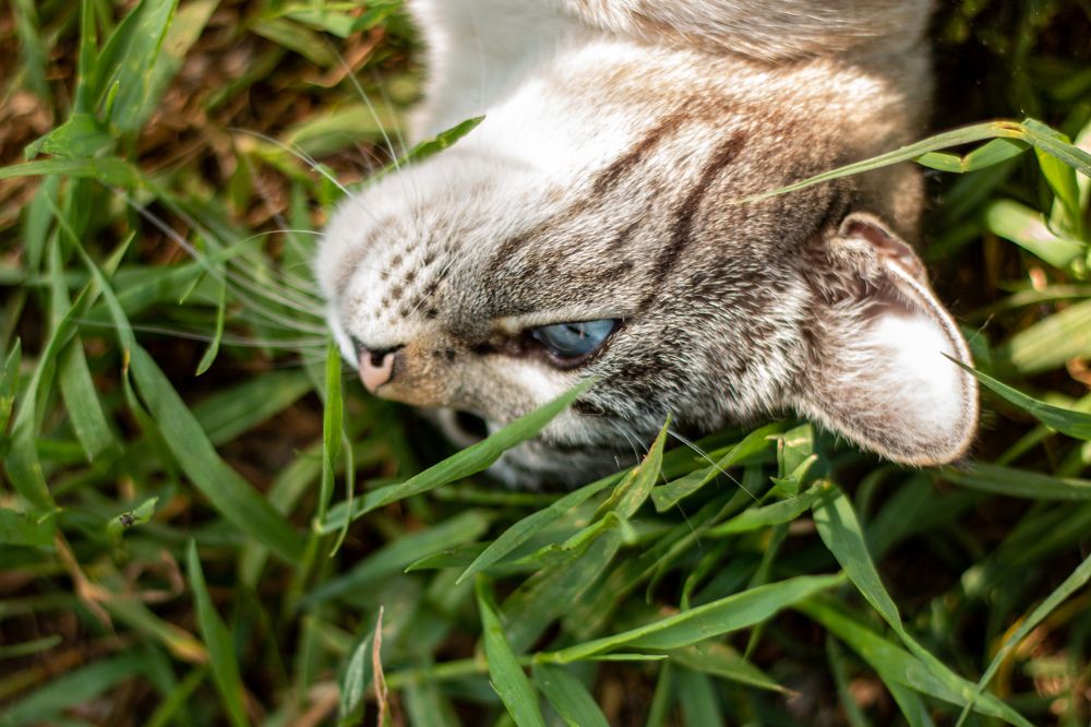 Photograph by Ирина Антонова