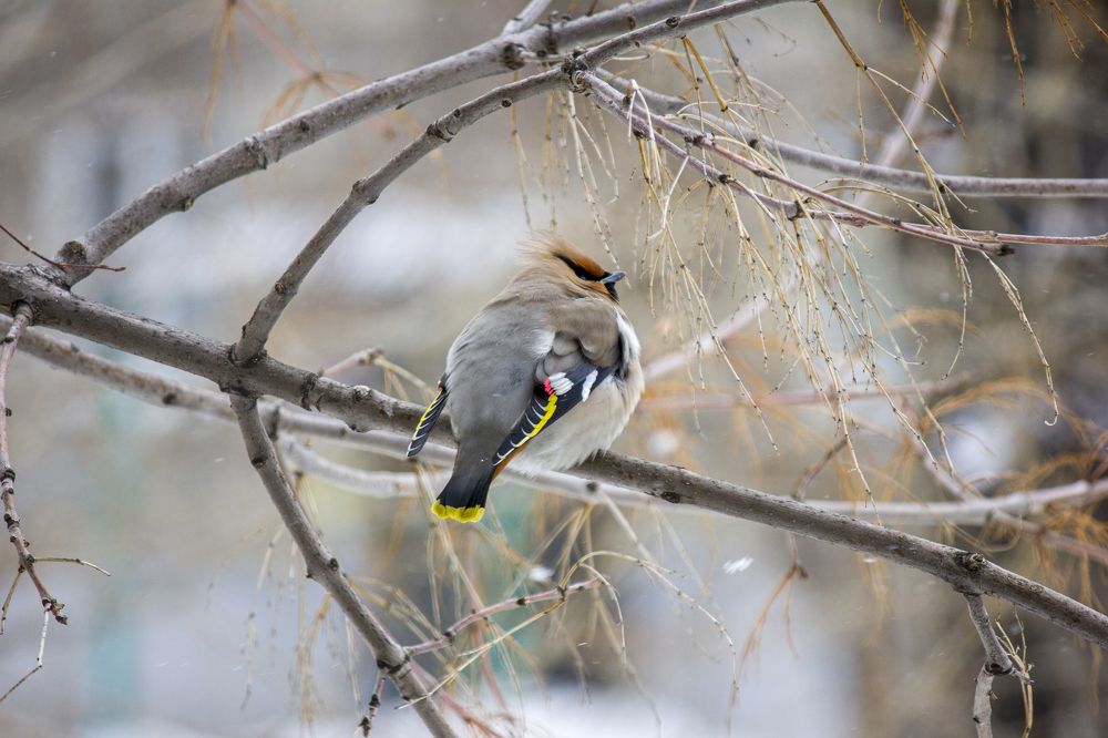 Фотография автора Иван Долгов