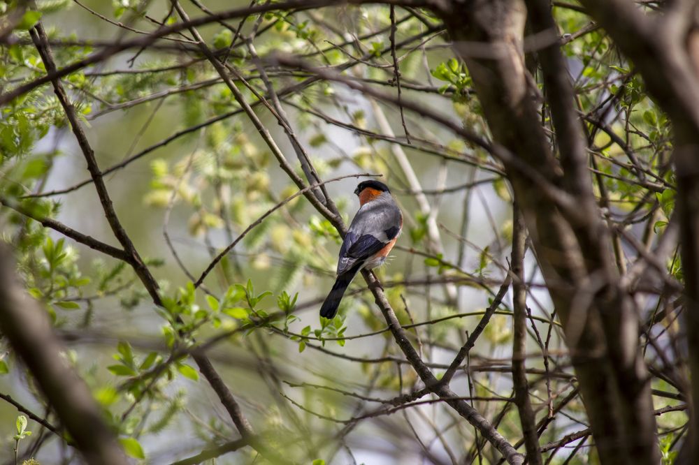 Фотография автора Иван Долгов