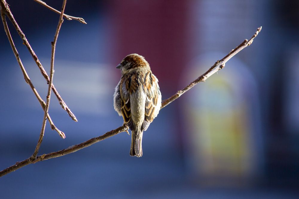 Фотография автора Иван Долгов