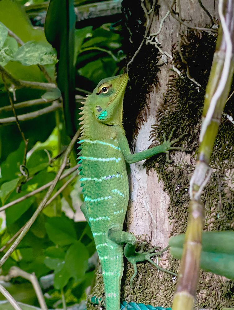 Photograph by Shamal lakshan