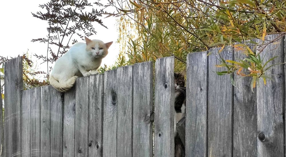 Фотография автора Марина Артемьева