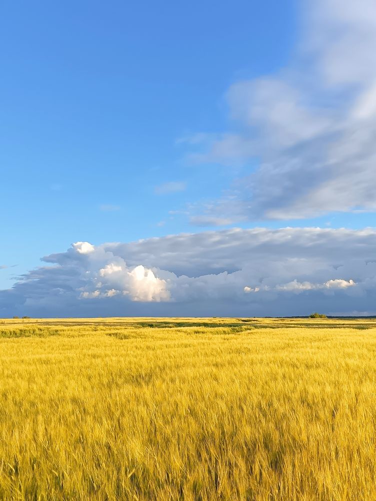 Photograph by Елена Можаева