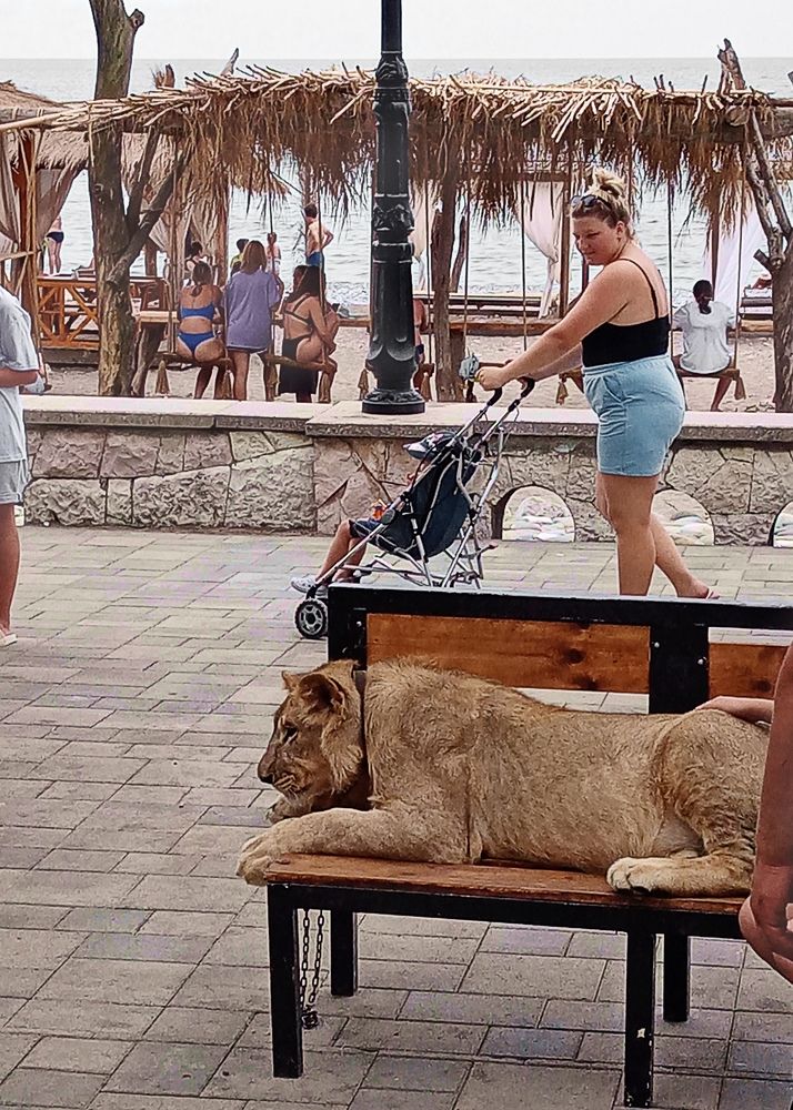 Photograph by Светлана Зубанова