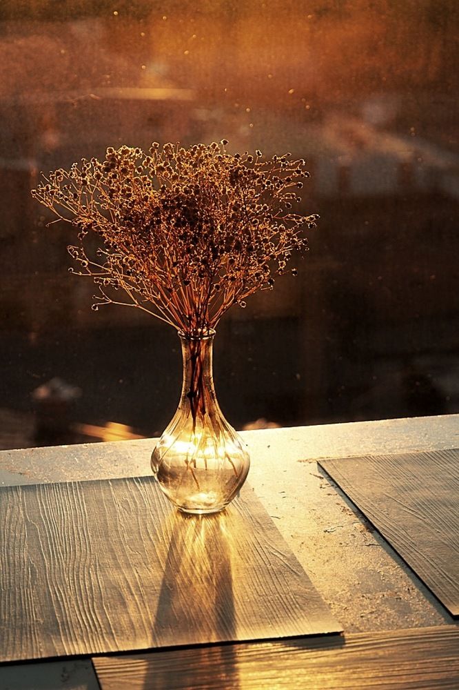 Фотография автора Екатерина Першина