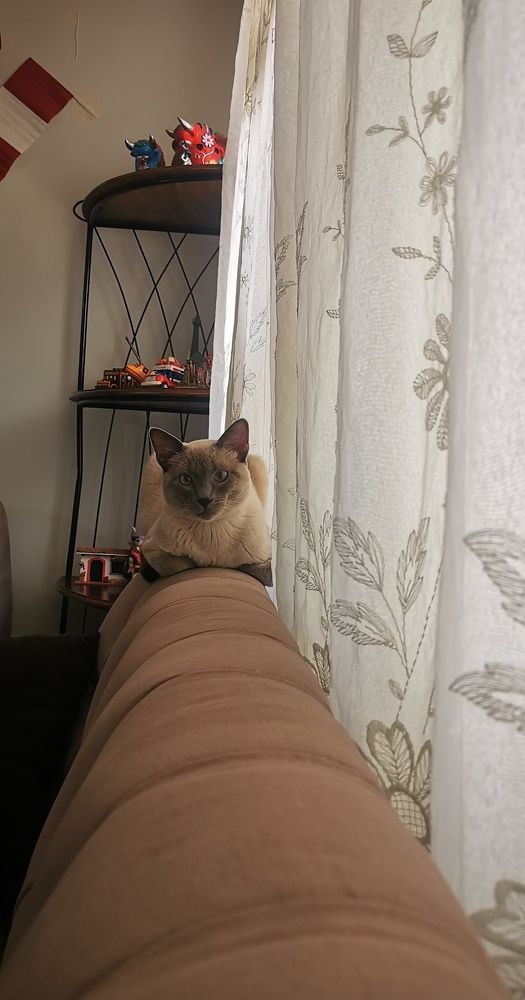 Photograph by Blanca Málaga