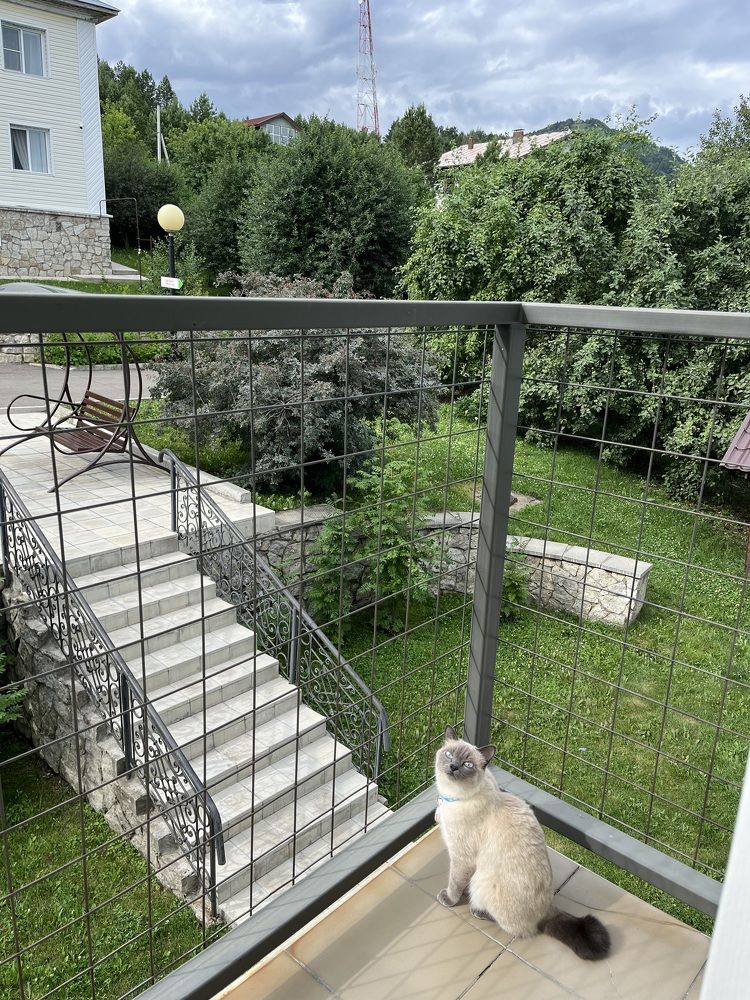 Photograph by Наталья Пасечко