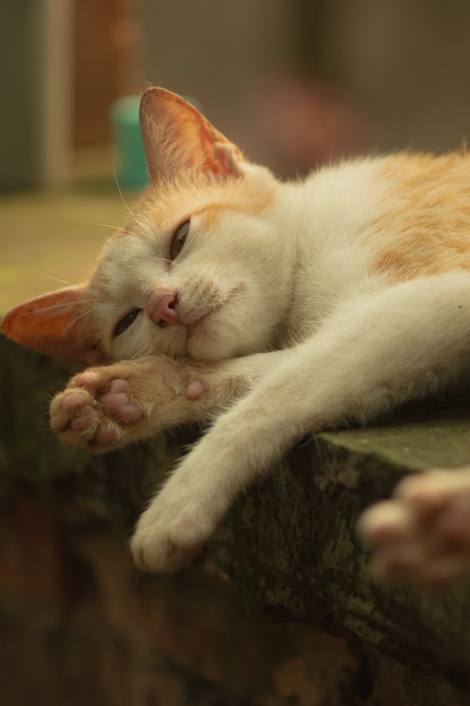 Photograph by Bùi Nguyễn