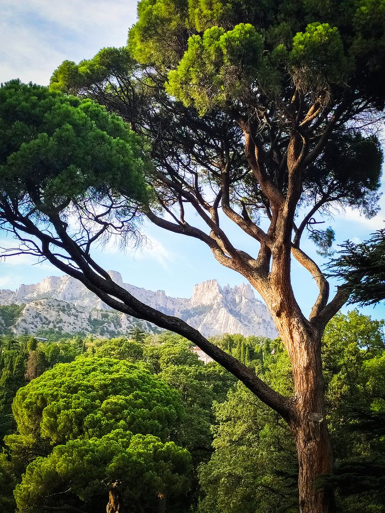 Фотография автора Андрей Федоров