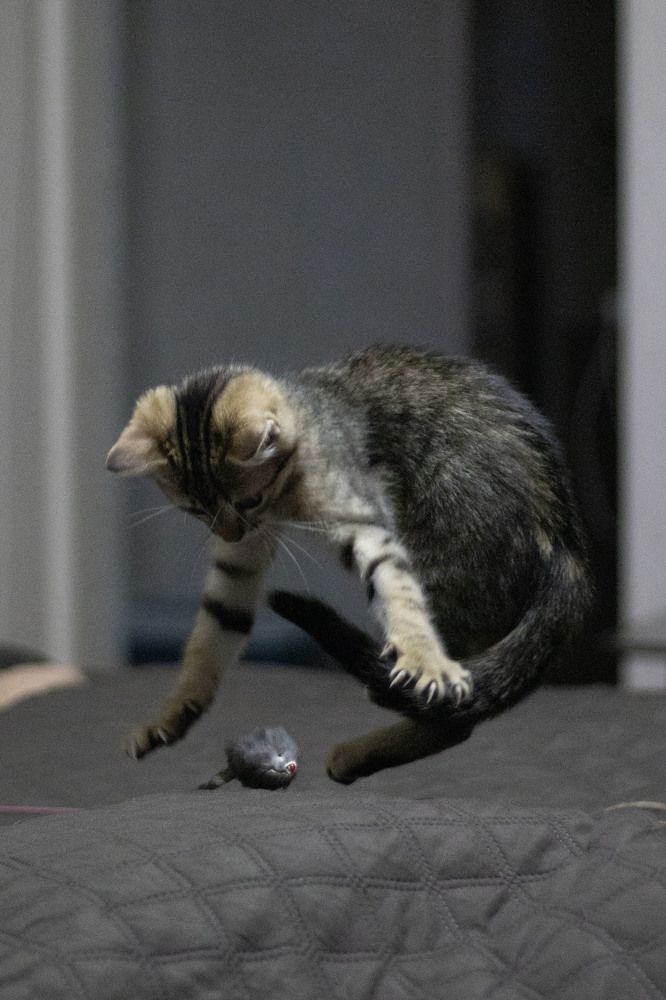 Фотография автора Ксения Золотарь