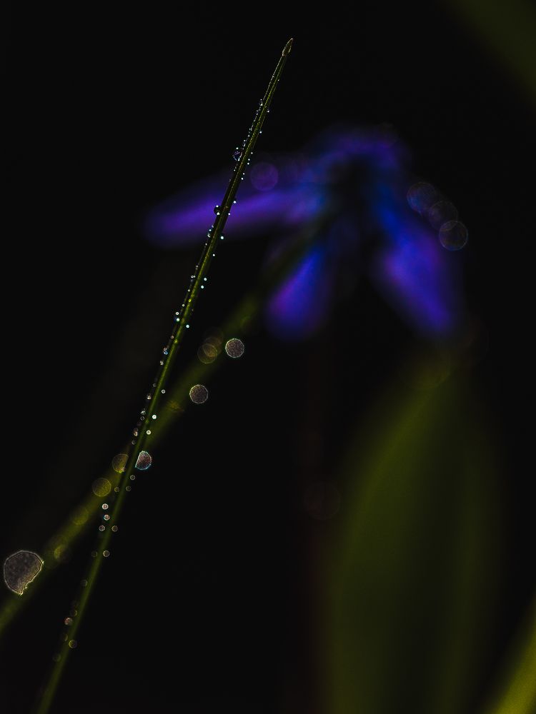 Фотография автора Ольга Попова