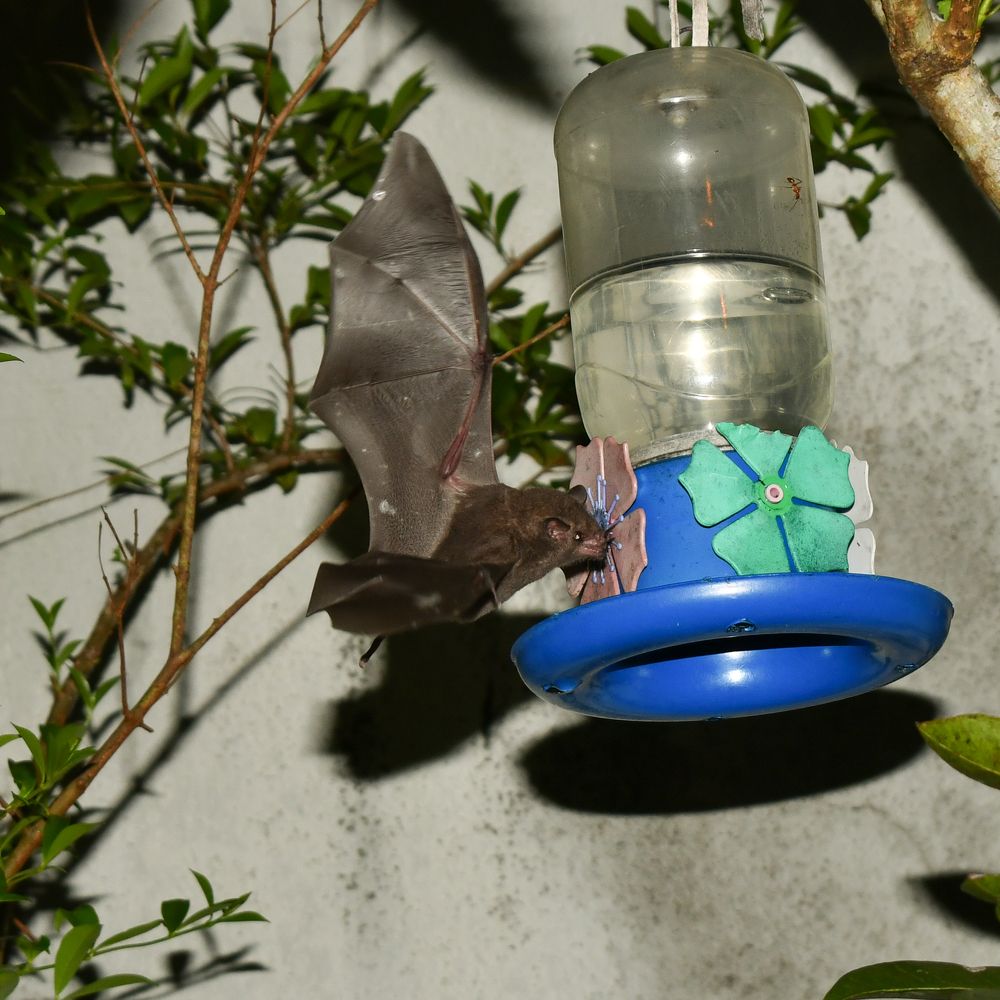 Photograph by Jean Loprete