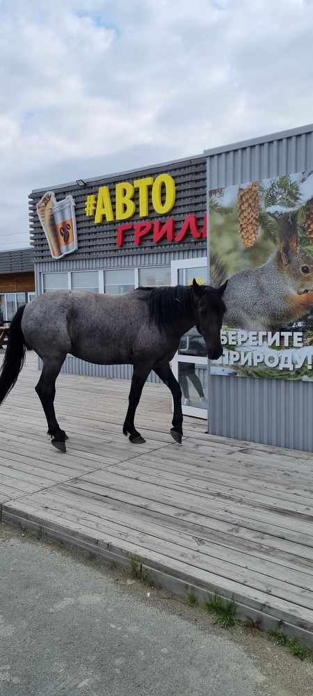 Photograph by наталья