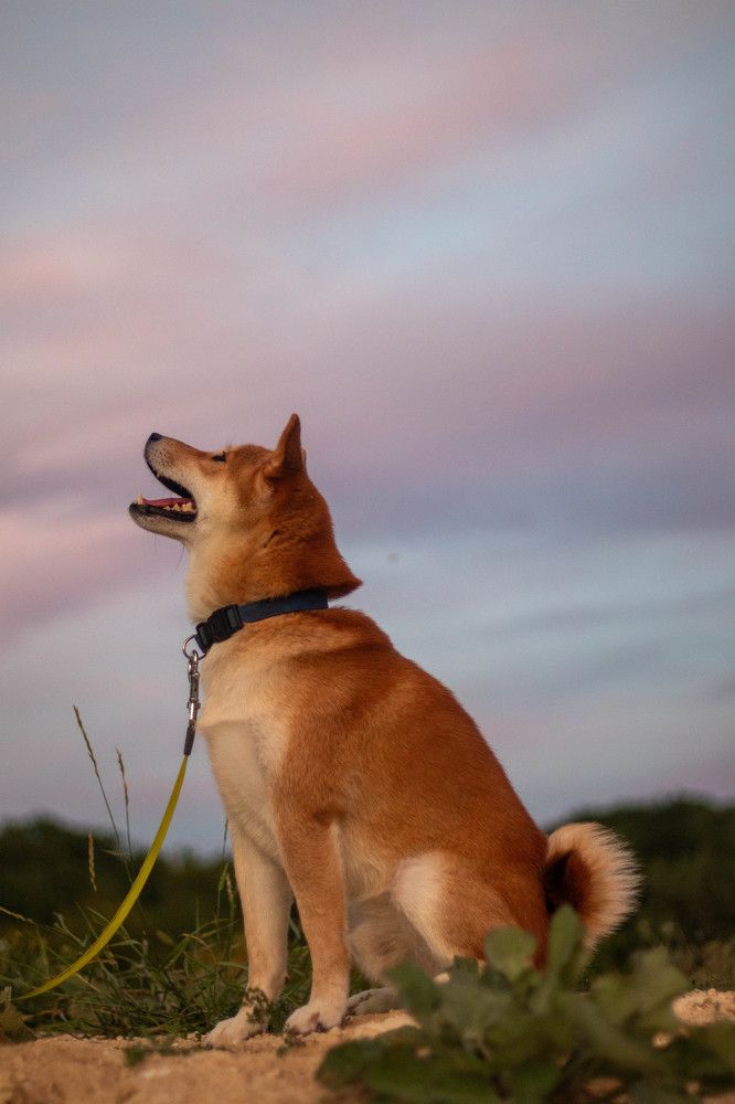 Фотография автора Женя Женин