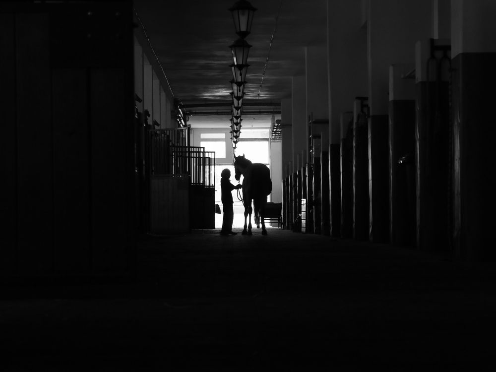 Photograph by Боков Дмитрий