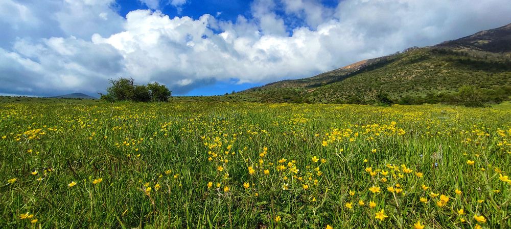 Photograph by Ahmad Yazarloo