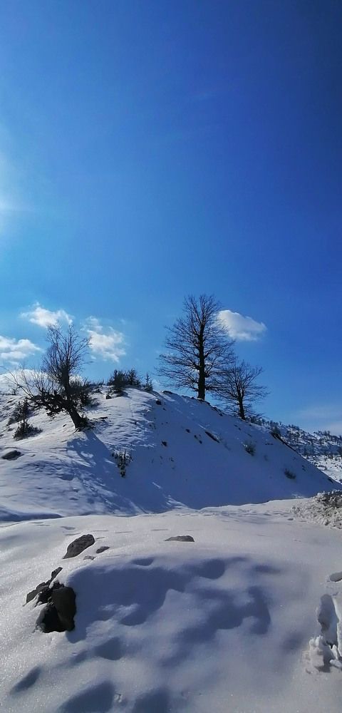 Solitude, winter serenity, silence of nature, beauty of snowتنهایی، آرامش زمستانی، سکوت طبیعت، زیبایی برف/