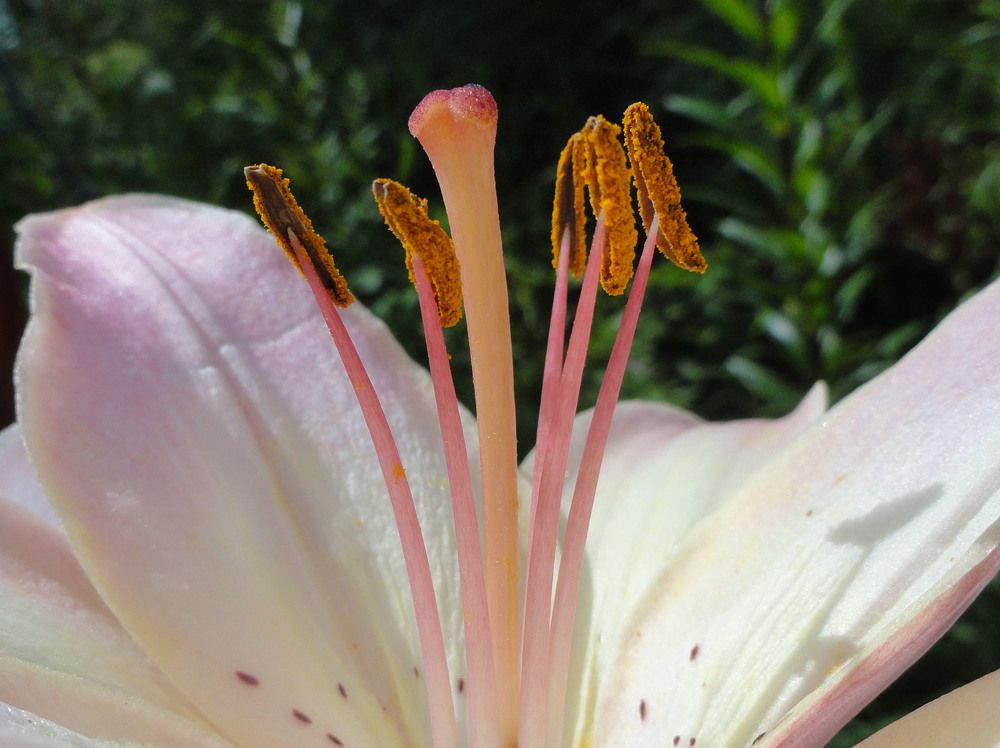 Фотография автора Алла Бойко