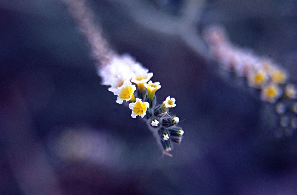 Фотография автора Сергей Рапопорт
