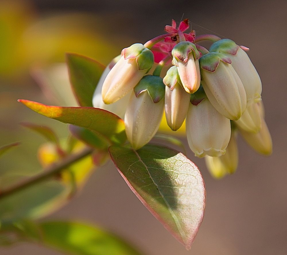 Photograph by Василий Быстрицкий