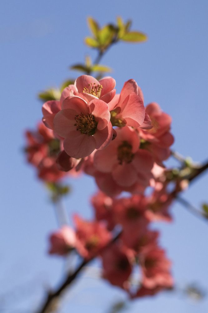 Фотография автора Ксения Золотарь