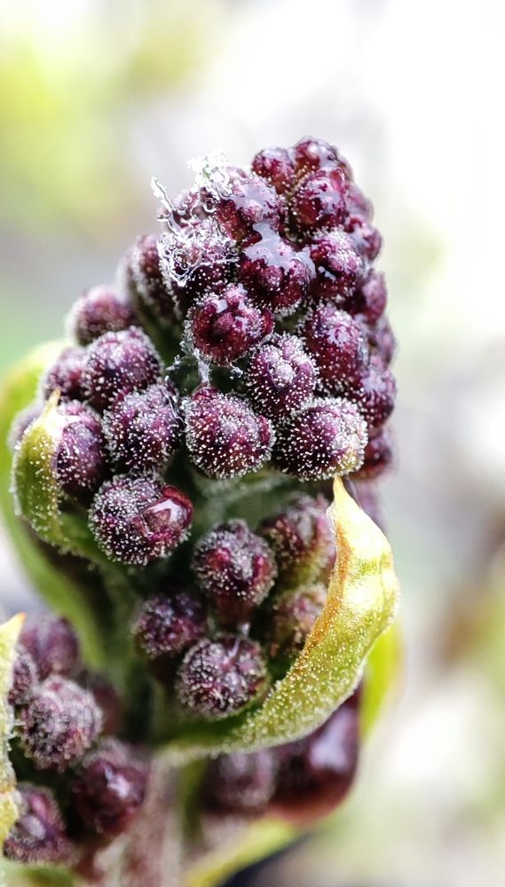 Фотография автора Марина Артемьева