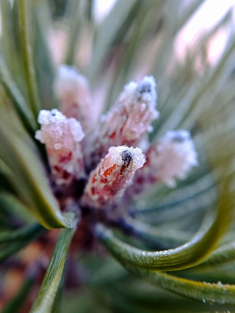 Фотография автора Светлана Таркан