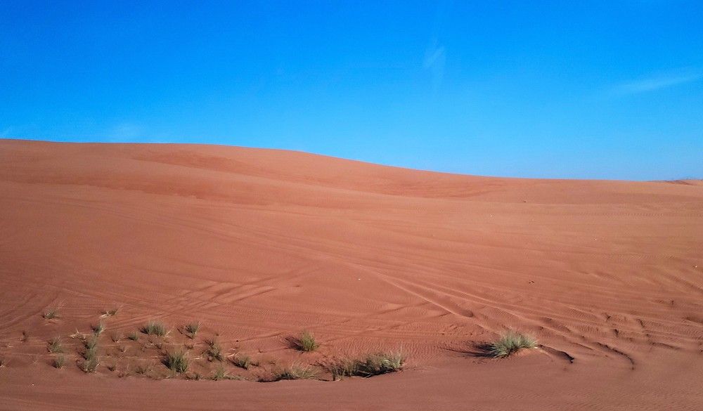 Фотография автора Метушова Анна