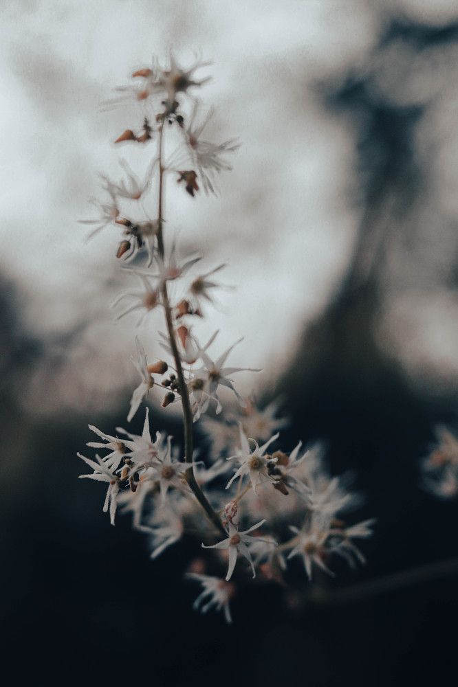 Photograph by Дарья Савелькина