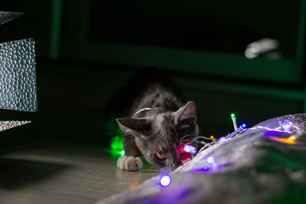 Photograph by Ирина Шклярова