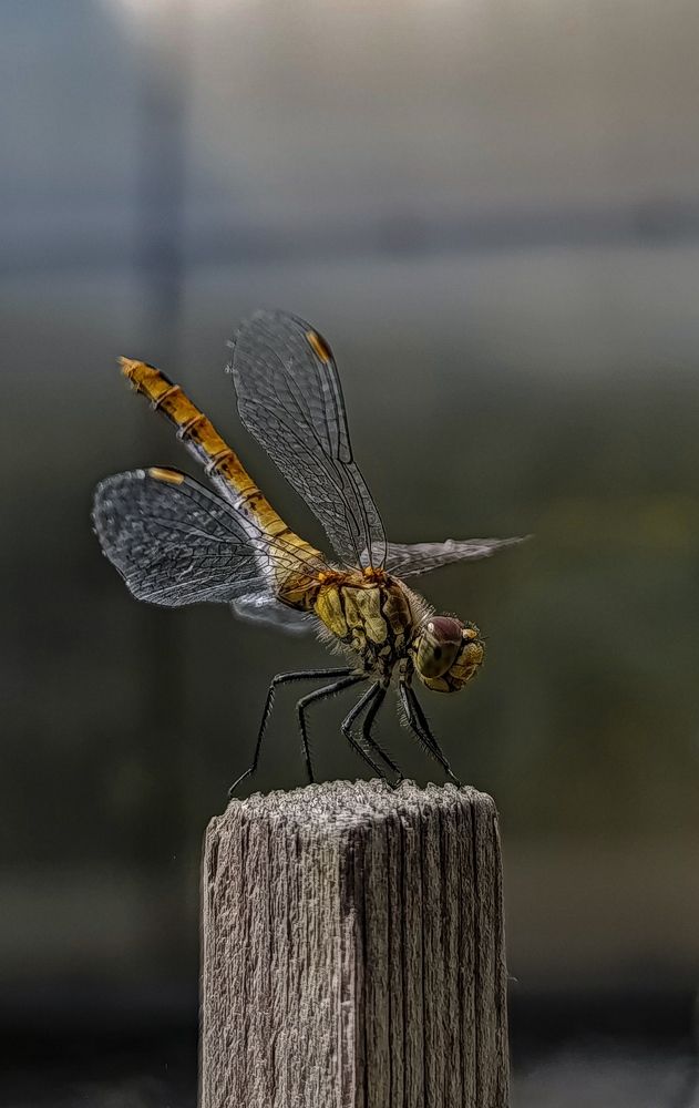 Photograph by Юлия Якубова