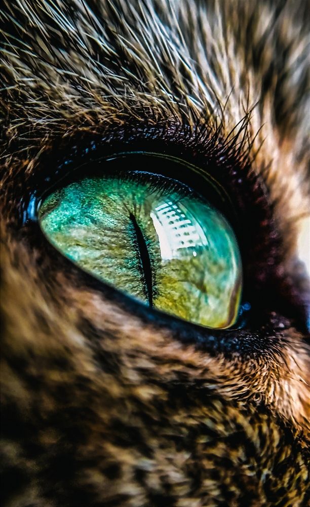 Photograph by Юлия Якубова