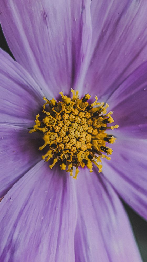 Photograph by Юлия Якубова