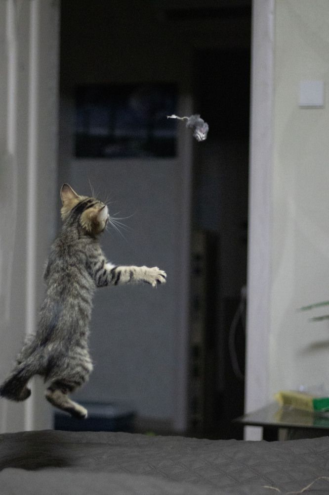 Фотография автора Ксения Золотарь