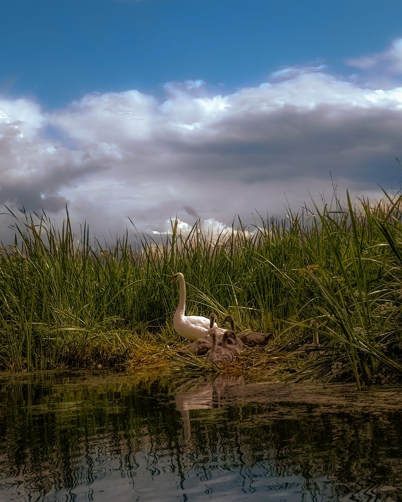 Photograph by Виктория Завадская