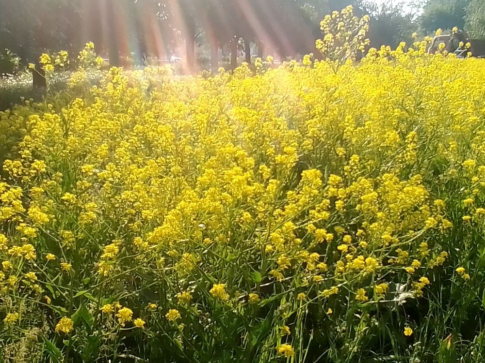 Фотография автора Irina Mihailovskaya