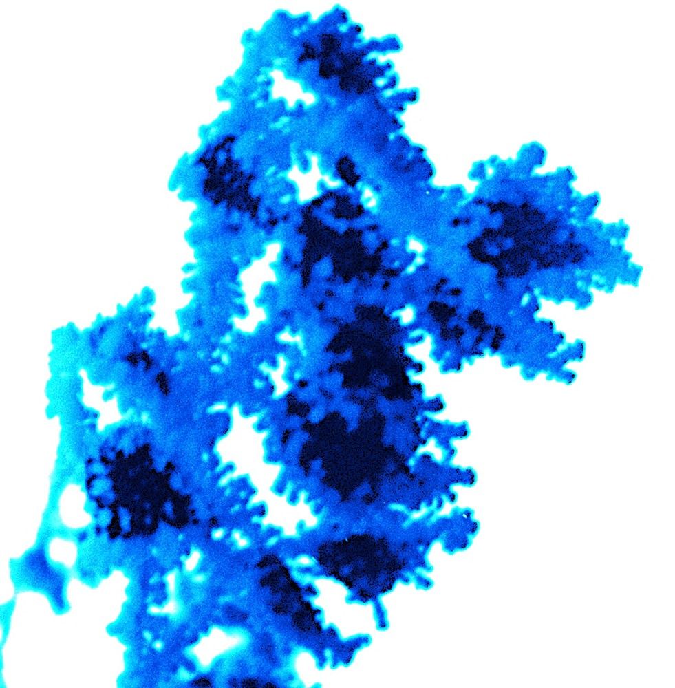 Photograph by Владимир Малёшин