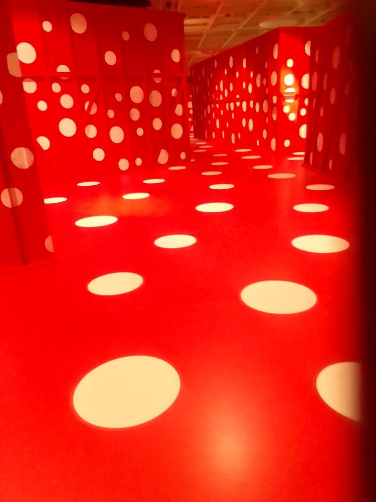 Фотография автора Irina Mihailovskaya