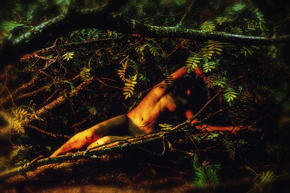 Photograph by Пчелкин Дмитрий