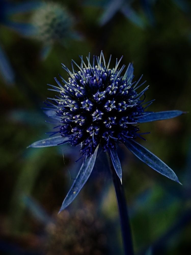 Photograph by Виктория Завадская