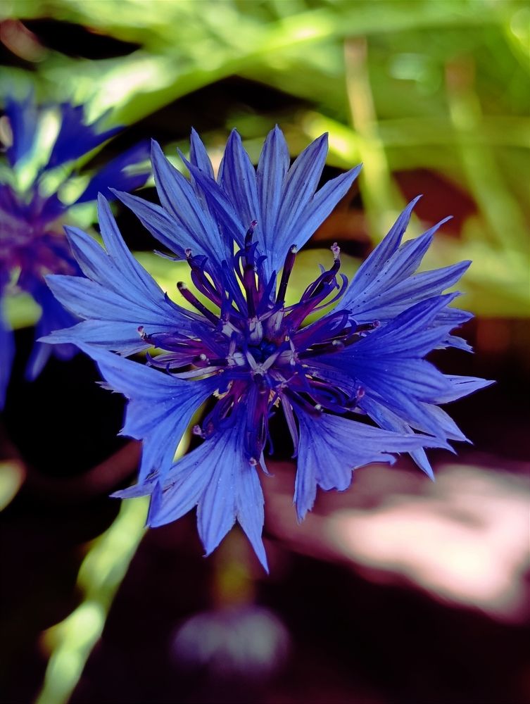 Фотография автора Светлана Таркан