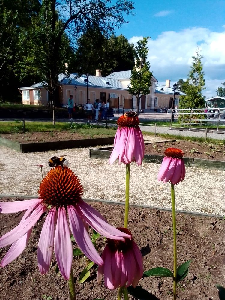 Конкуренция