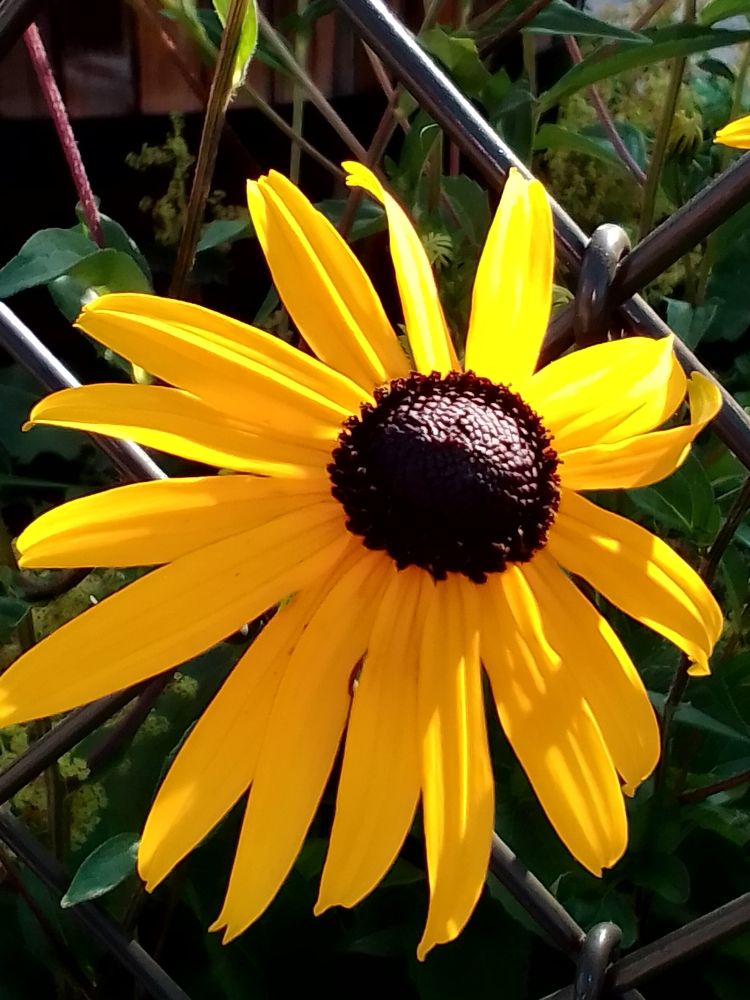 Фотография автора Irina Mihailovskaya