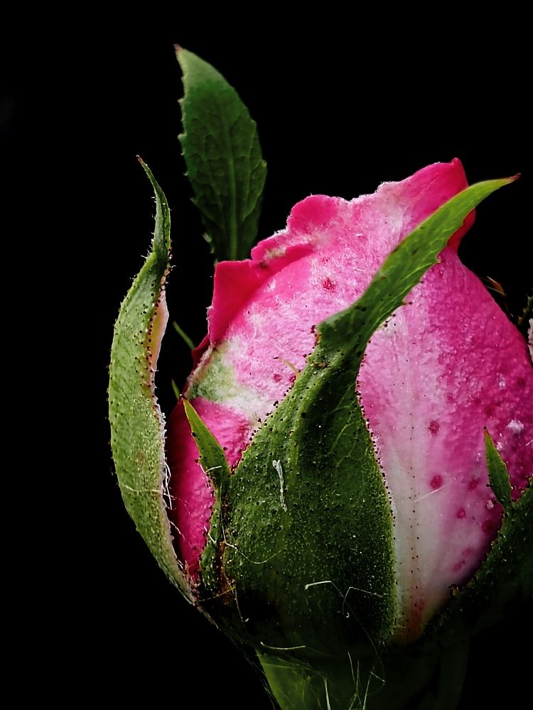 Photograph by Виктория Завадская