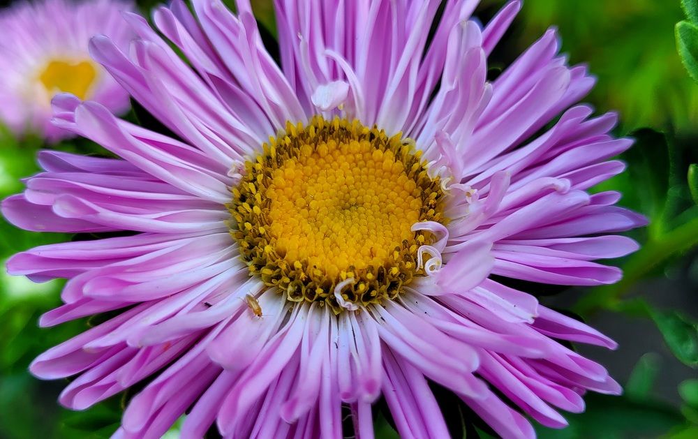 Фотография автора Метушова Анна