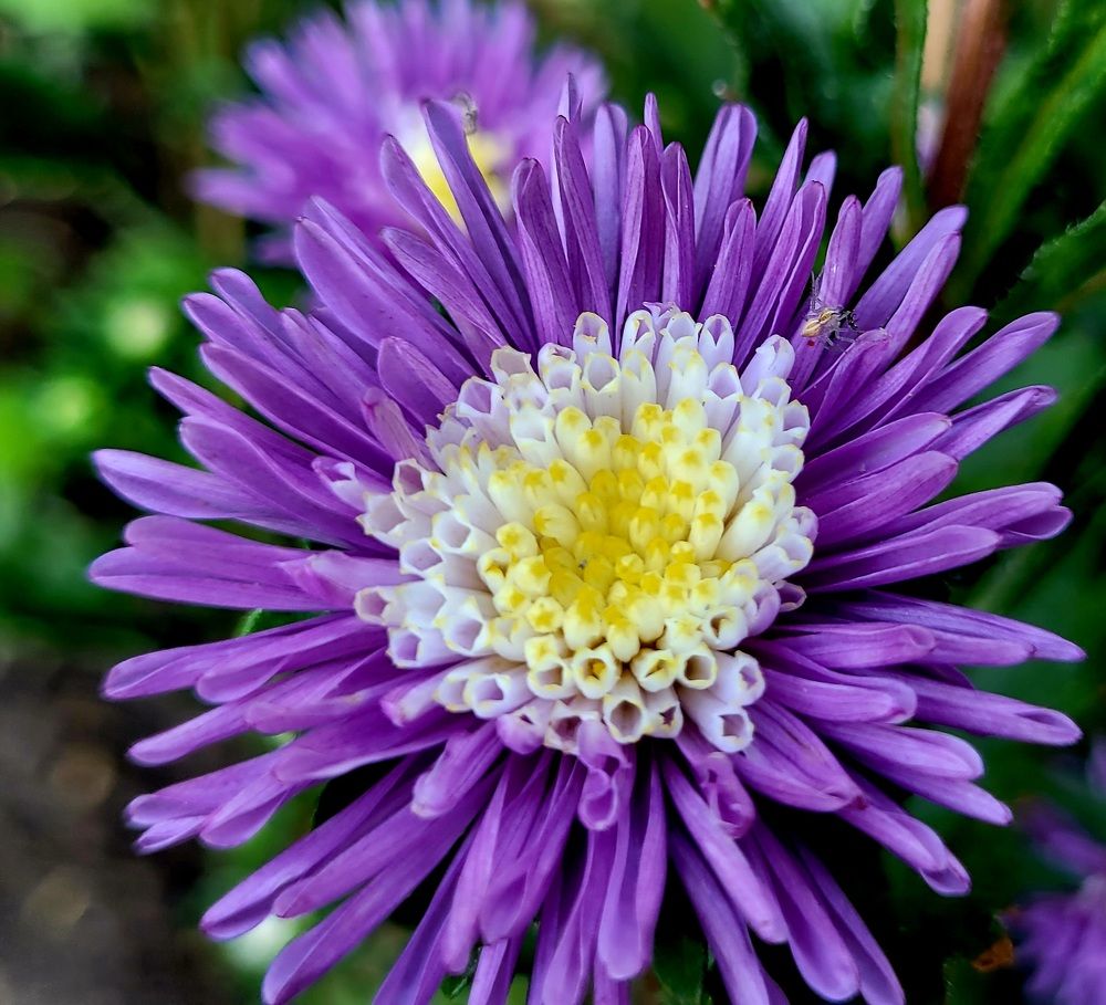 Фотография автора Метушова Анна