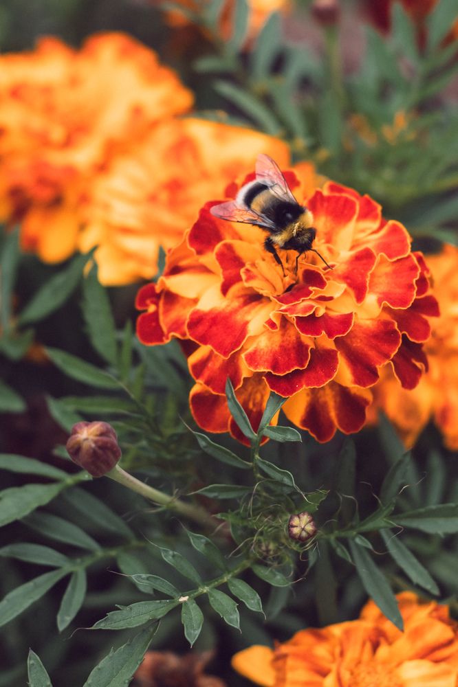 Фотография автора Евгения Бородина
