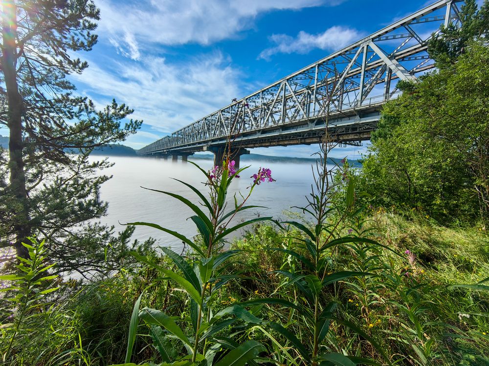 Фотография автора Марина Корреа Ластра