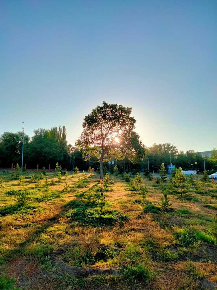 Фотография автора Динара Каймиденова